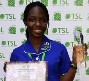 Sustainable future essay image