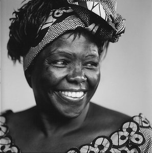 2019 Wangari Maathai Impact Award for African Innovators ...